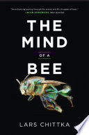 The Mind of a Bee