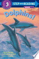 Dolphins!