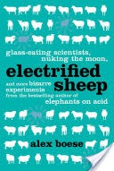 Electrified Sheep