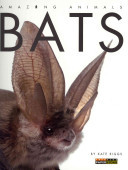 Amazing Animals: Bats