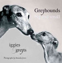 Greyhounds Big and Small