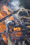 Roasting Chestnuts Over an Open Fire Journal