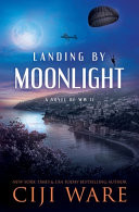 Landing by Moonlight