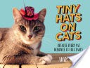 Tiny Hats on Cats