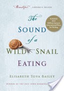 The Sound of a Wild Snail Eating