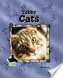 Tabby Cats
