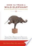 How to Train a Wild Elephant