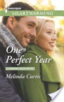 One Perfect Year