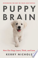 Puppy Brain