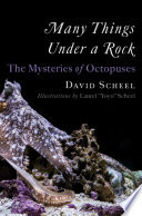 Many Things Under a Rock: The Mysteries of Octopuses