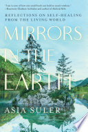 Mirrors in the Earth