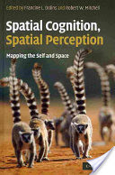 Spatial Cognition, Spatial Perception