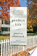 Perfect Life: A Novel