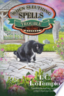 When Sleuthing Spells Trouble