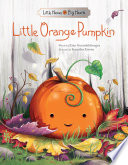 Little Orange Pumpkin