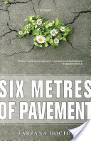 Six Metres of Pavement