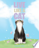 Live like a Cat