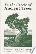 In the Circle of Ancient Trees