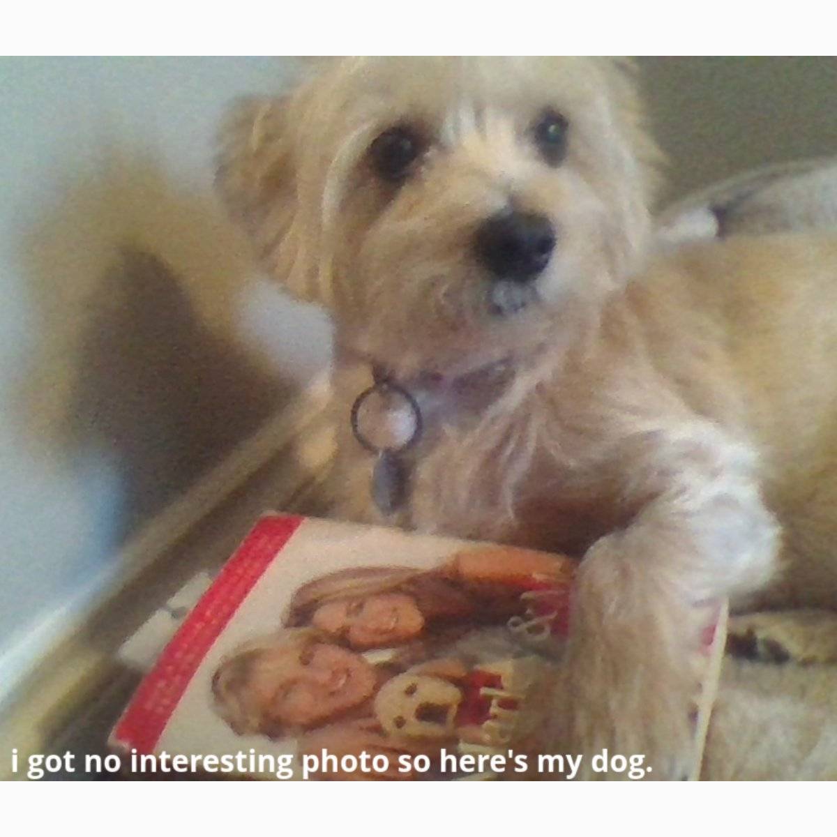 post image