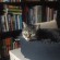VeevaReads