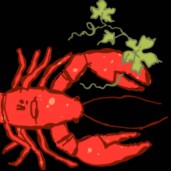 lobstervine