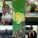 jess_turtlebeanz