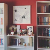 The-Infinite-Bookshelf