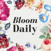 bloomdailyblog
