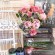 JustMyBookishLife