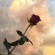 Serenedepths