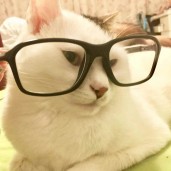 Cat_with_glasses