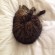 TheBookselvesOfMillie