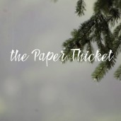 the_paper_thicket