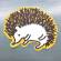 The_Reading_Hedgehog