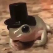 georgiothefrog