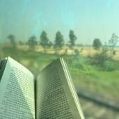 Rays.and.Daintea