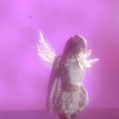 fairy moon 