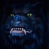 Blackwool