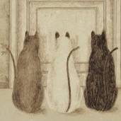 3Cats1Book